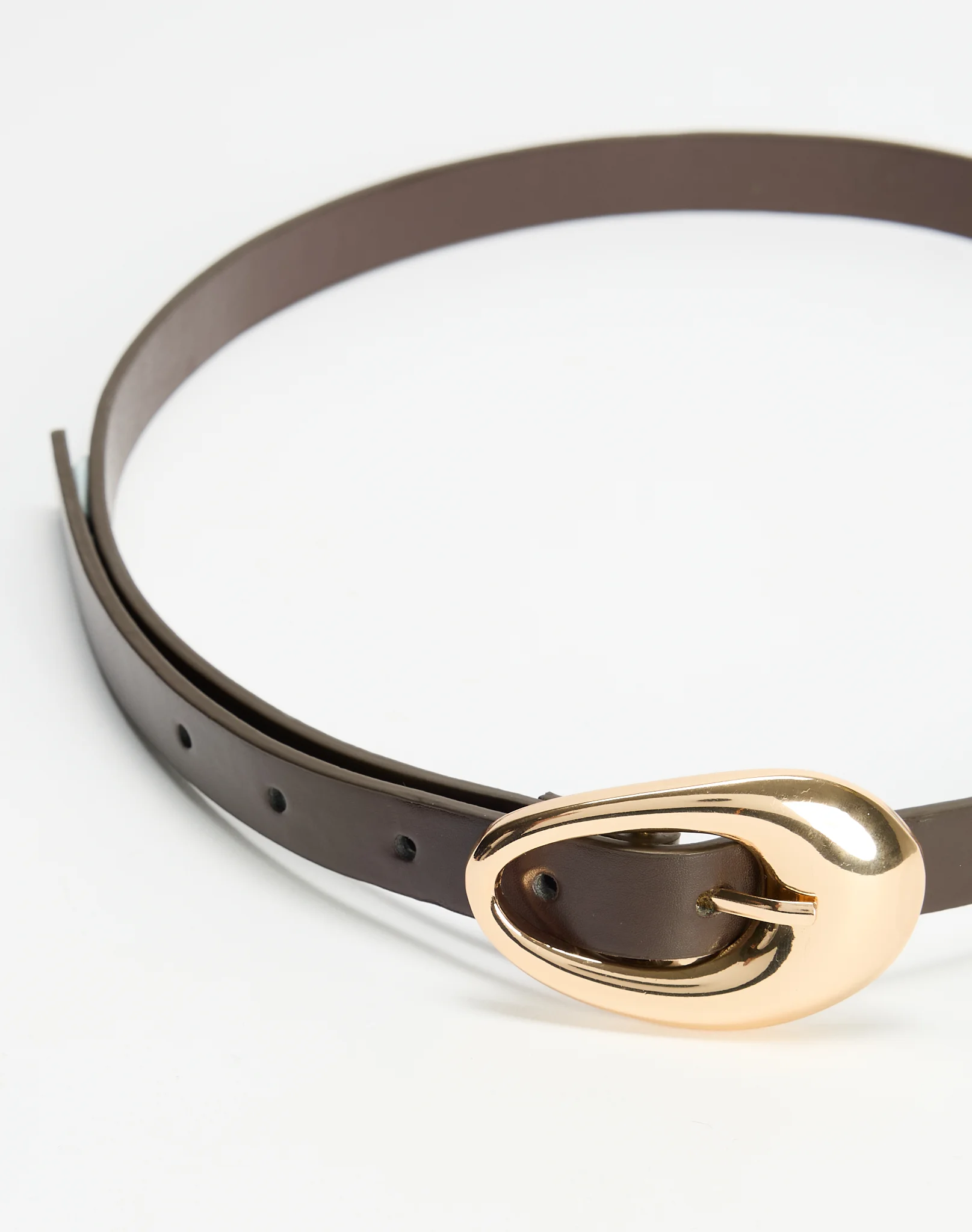 Statement Buckle Belt Brown X Gold 4 Statement Buckle Belt Brown X Gold